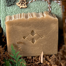 Load image into Gallery viewer, Eco Friendly Christmas Gift Box_Aloe Vera Soap - Woods and Mosses