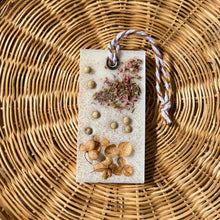 Load image into Gallery viewer, Vanila Duo Gift Set_Wax Sachet - Woods and Mosses